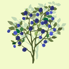 Forest blueberry berries and leaves, vector illustration