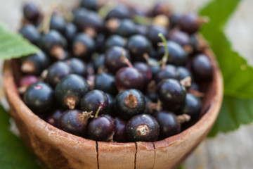 Black currant berries