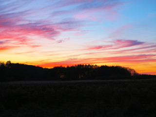 red horizon and sunset behind the yew trees