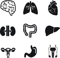 Human organs and silhouette vector icon set black: brain, eye, heart, lungs, liver, stomach, kidney, intestine, reproductive system