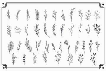 Tiny Plant Clip Art Elegant Hand Drawn Set - For wedding invitations, posters, blog posts, logos ,etc.