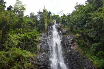 Fototapeta premium Scenic waterfall in the forest in rural Kenya, Aberdare Ranges, Kenya