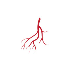 human veins, red blood vessels design and arteries Vector illustration isolated