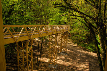 
bridge among trees