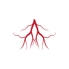 human veins, red blood vessels design and arteries Vector illustration isolated