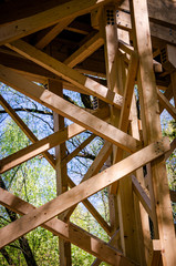 
skeleton of a wooden bridge in the park