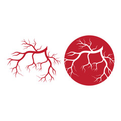 human veins, red blood vessels design and arteries Vector illustration isolated