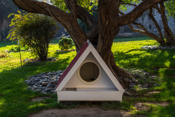 Fototapeta premium House for homeless cats in а city park. Caring for homeless pets concept.