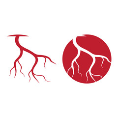 human veins, red blood vessels design and arteries Vector illustration isolated