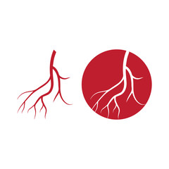 human veins, red blood vessels design and arteries Vector illustration isolated