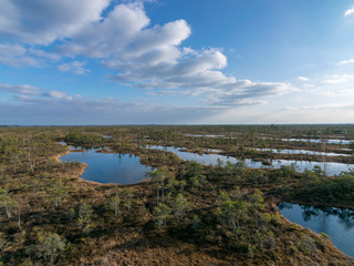 Fototapeta na wymiar landscape with blue swamp lakes surrounded by small pine and birch trees and green moss on spring day