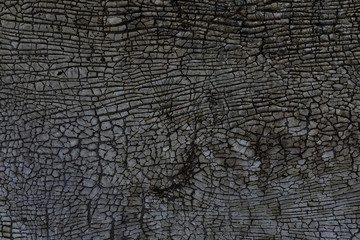 Fototapeta premium black leather texture