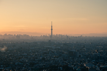 Tokyo skyline during twilight hours and the view of Mount Fuji