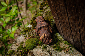 
rusty old railway screw