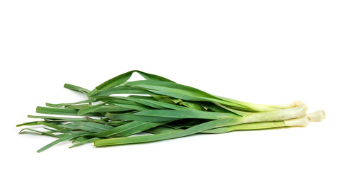 Close up view of bunch of fresh green onion