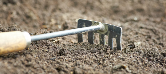 Old rake on the background of the ground in blur.