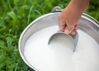 Scooping milk with metal mug.