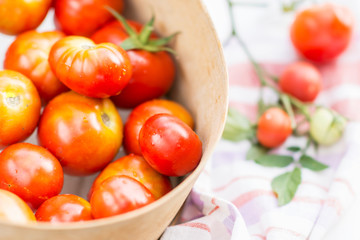 Ripe tomatoes in the sieve, tomatoes are prepared for preparing preserves, cooking and food concept