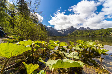 almsee grünau österreich