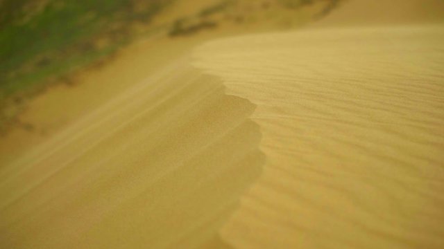 The wind sweeps away the sand. Mountain of sand wild nature. Sarykum barkhan is a fragment of Asian deserts surrounded by steppes.