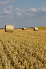Beautiful sunny photo of straw bales after harvest in a field near Blatna in South Bohemia, Czech Republic