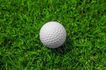 Golf ball on grass