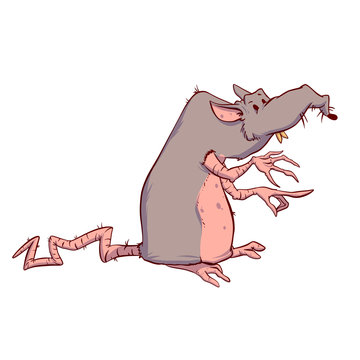 Vector illustration of a dirty rat