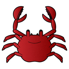 crab vector design. digital hand drawn. halftone texture