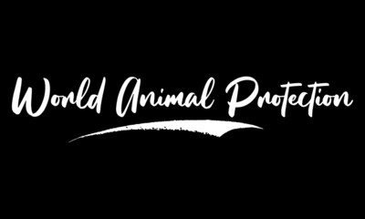 World Animal Protection Phrase Calligraphy Text on Black Background