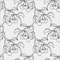 Sketch cherry.Cherry  seamless pattern.Image on a white and color background.