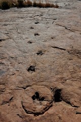 THE OTJIHAENAMAPARERO DINOSAUR TRACKS