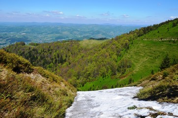 Borzhava, Volovets'kyi district, Zakarpatska Oblast, Ukraine.05/09/2018. white snow, green slopes of the Carpathian Mountains, Fir trees on background of Blue sky. Ukrainian mountain landscape in May