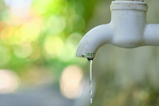 Dripping faucet in white close-up against the background of a green garden.