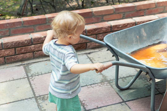 Cute adorable caucasian toddler boy playing with big old wheelbarrow at backyard in garden outdoors. Child little helper in t-short and shorts having fun pushing barrow and gardening at countryside