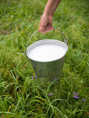 Milkmaid's hand holding bucket with milk