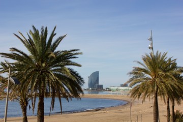 Barcelona, Spain, 03 May 2020: a sunny day view of the empty and closed Barcelona beach with palm trees in the foreground and the hotel W on the background. One of the beaches of the Mediterranean 