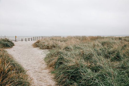 beautiful landmark dar&szlig; on the baltic sea in germany