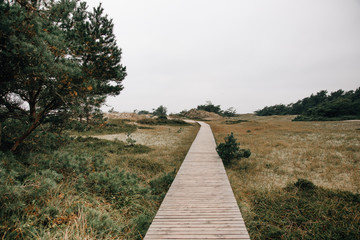 beautiful landmark darß on the baltic sea in germany