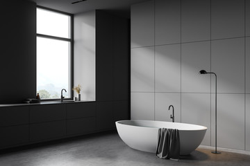 Fototapeta na wymiar Luxury gray bathroom corner with tub and sink