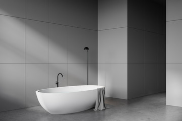 Fototapeta na wymiar Minimalistic gray bathroom corner with tub