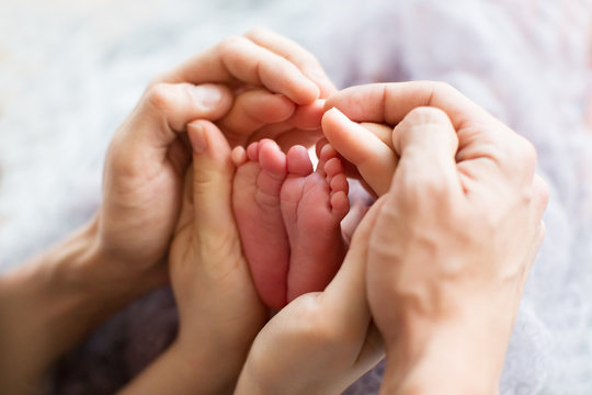 Legs of a newborn in the hands of parents on a white background. Little legs of a newborn baby in a big hand of an adult. Newborn baby feet in the hands of the mother on a light background blanket.