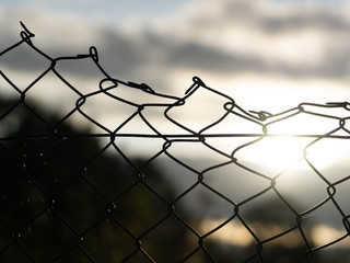 spider web on security fence