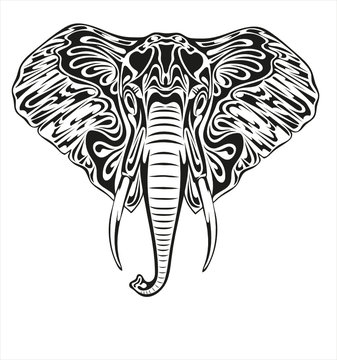 Black and white stylized image of a muzzle of a elephant for tattoo and other.