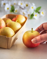 Yellow-red apples in a wooden basket, twigs of a blossoming apple tree on a light table