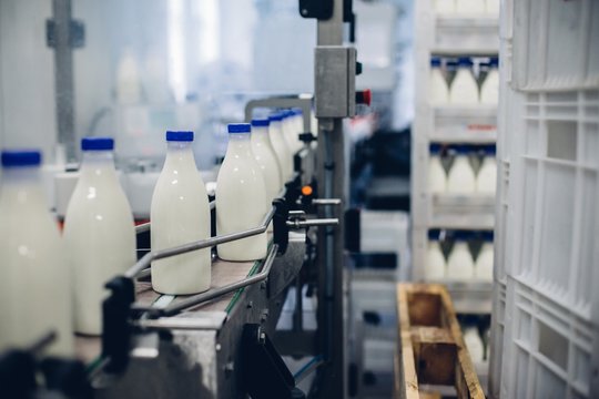 Selective focus shot of complete milk bottling line in a factory
