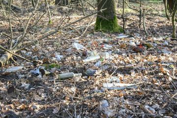 Trash in forest. Environmental pollution concept. Plastic bottle in forest.