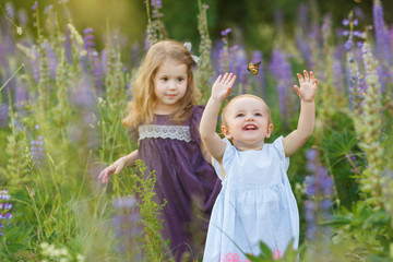 Cute, little girls in dresses try to catch butterfly. Funny smiling children on the field. Kids play outdoor. Concept of happy childhood, friendship and summer leisure
