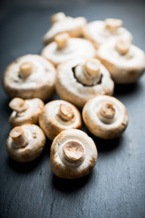 Freshly harvested mushrooms on the rustic wooden background. Selective focus. Shallow depth of field.