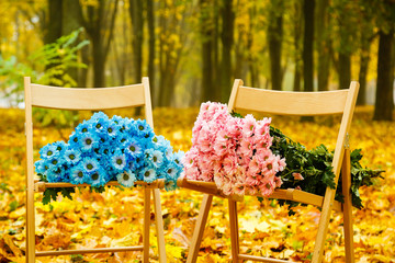 Blue and pink flowers in autumn foliage, fall, leaves on the ground