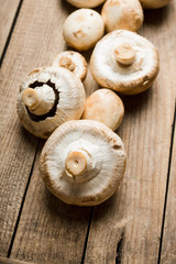 Freshly harvested mushrooms on the rustic wooden background. Selective focus. Shallow depth of field.